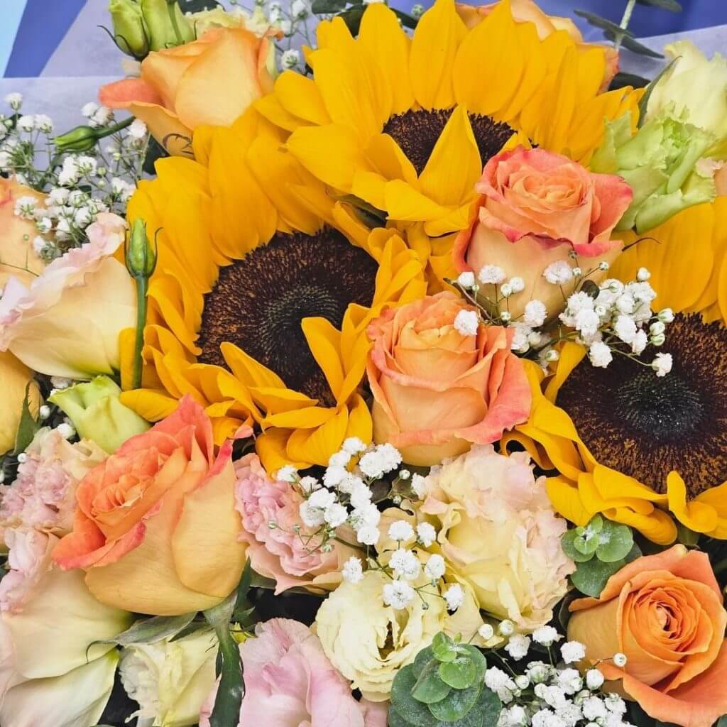 Graceful Beauty Graceful Beauty