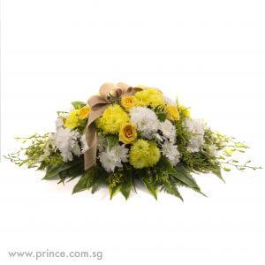 A Special Place A Special Place