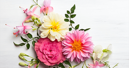Online Florist in Singapore - Shutterstock_644666317 - Prince’s Flower Shop