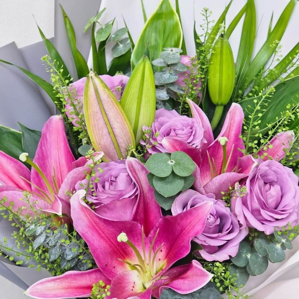 Regale Splendour Regale Splendour