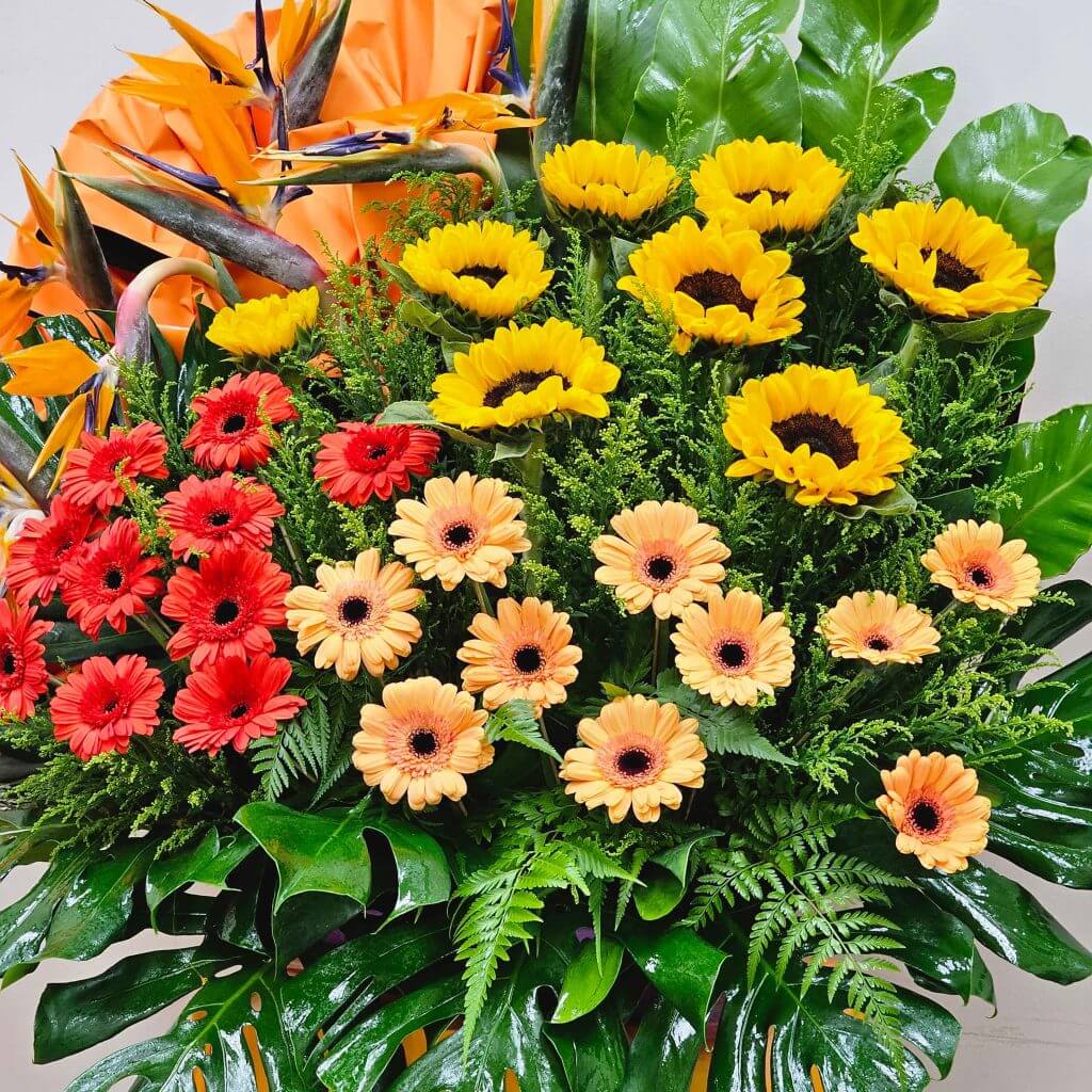 Flamboyant - Grand Opening Flower Stand Flamboyant - Grand Opening Flower Stand