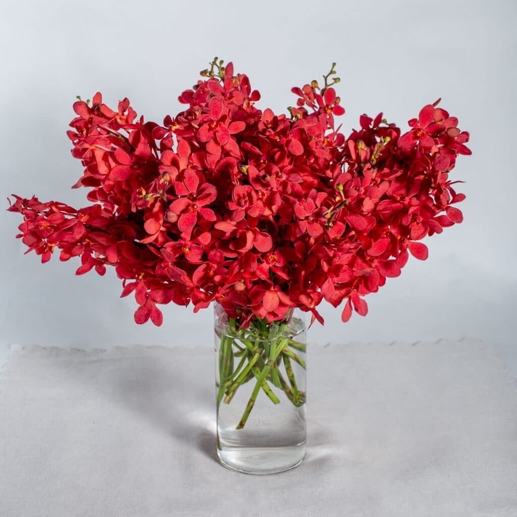 Awesome Table Flower Arrangements - Unfading Appreciation Table Arrangement– Prince Flower Shop