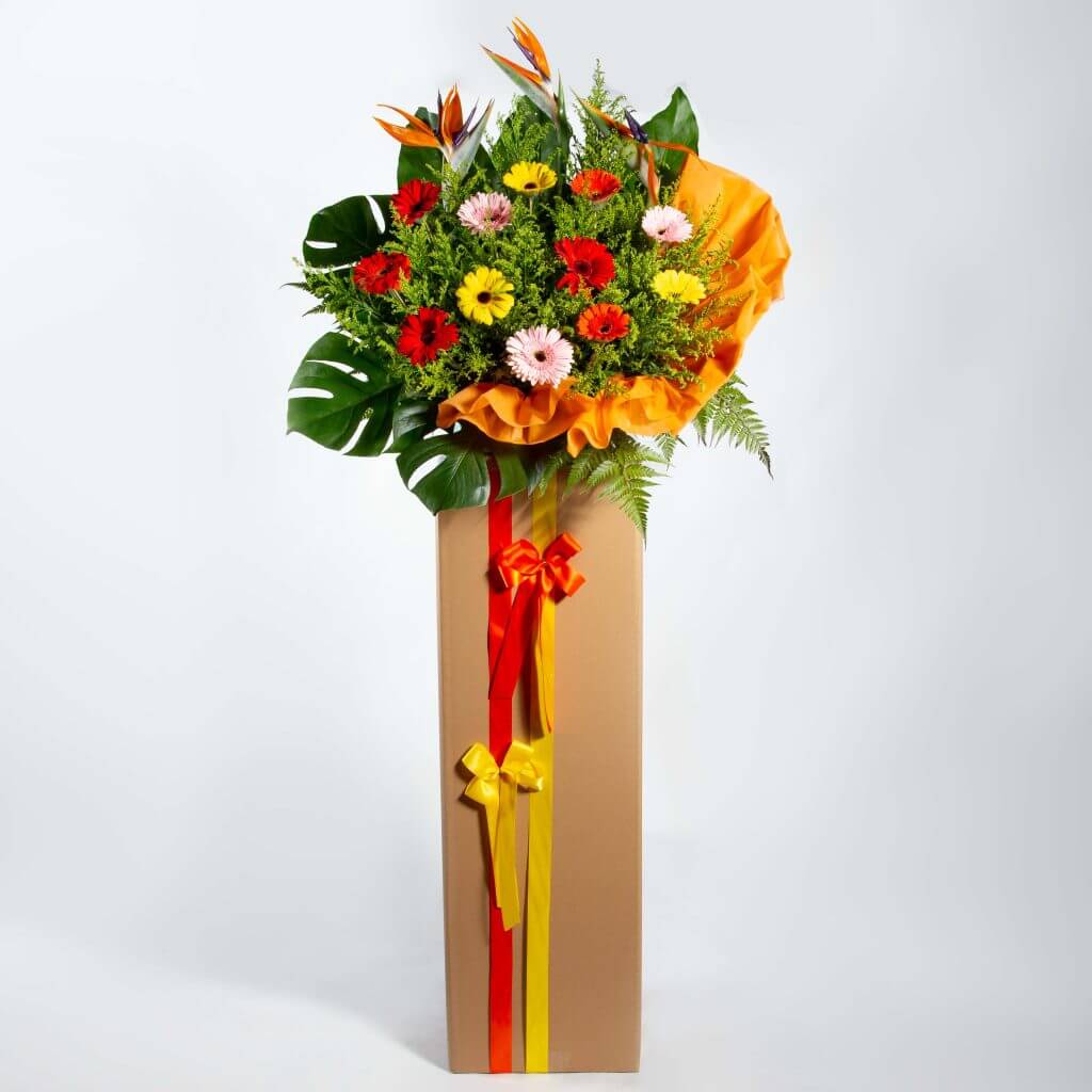Same-day Congratulation Flower Delivery in Singapore - Summer Garden – Prince Flower Shop