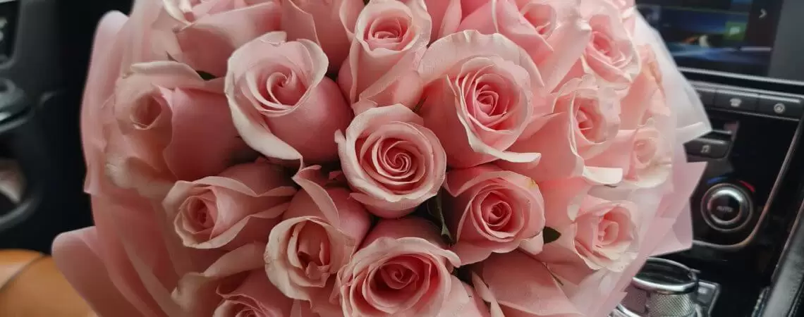 Blushing Pink Roses