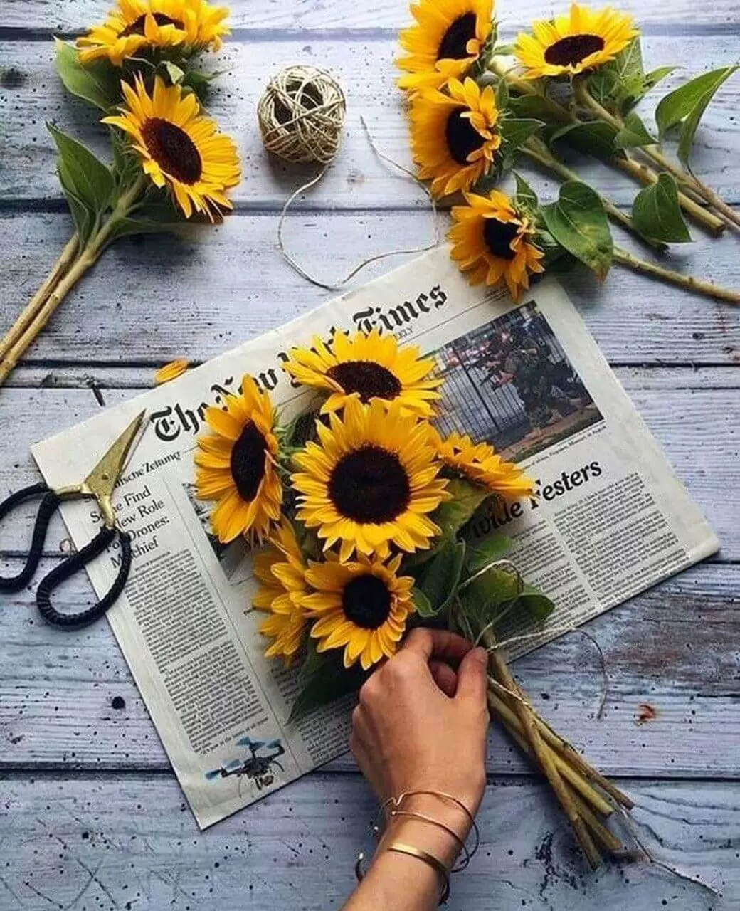 Sunflowers