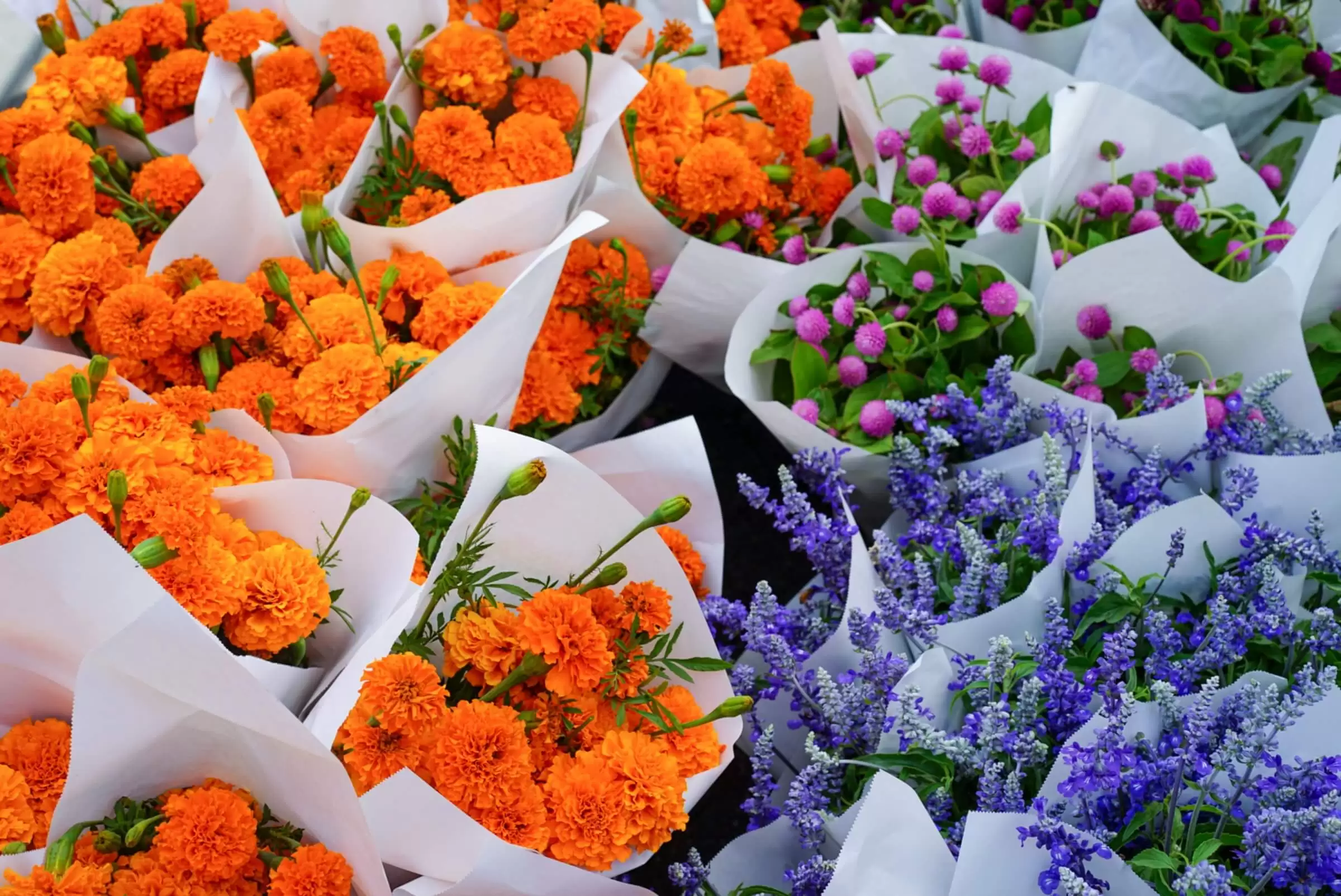 Floral Grand Opening: Selecting the Right Blooms to Boost Your Business