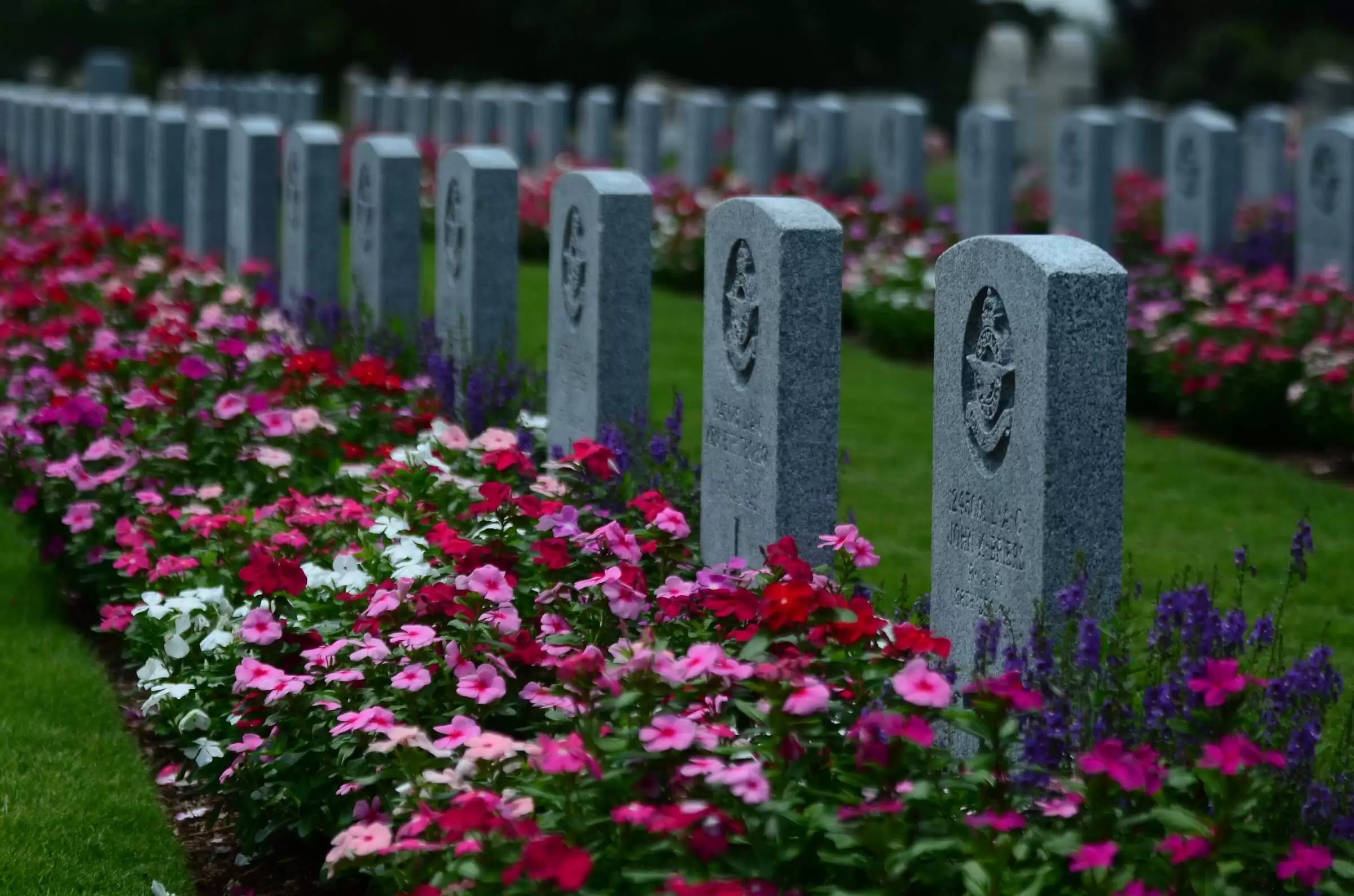 What are the Traditional Funeral Flowers in Singapore?