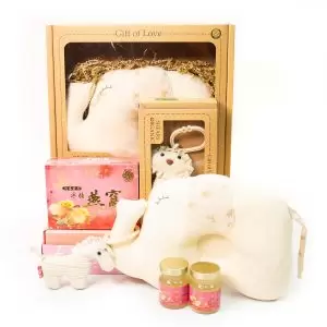 Best Baby Hamper Singapore - Mummy Baby– Prince Flower Shop