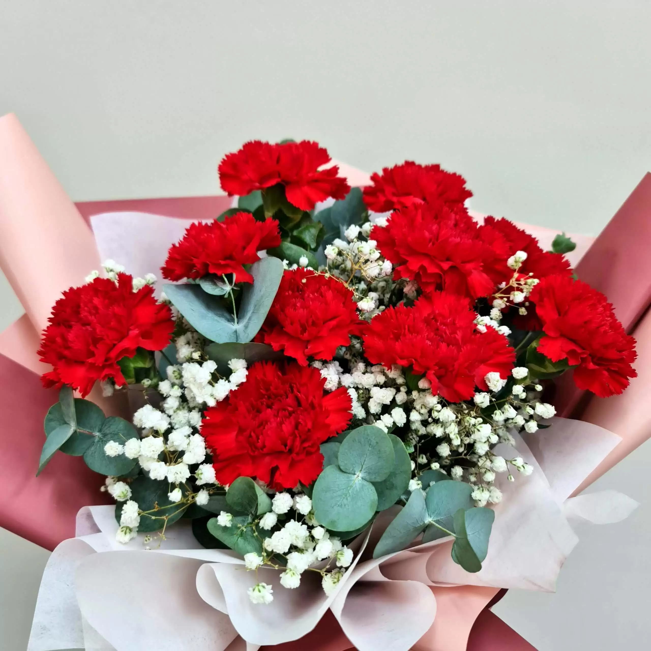Carnation of Love