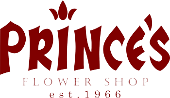 Prince Team